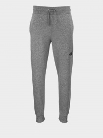 Брюки повседневные The North Face Nse  модель NF00CG25JBV1 Фото