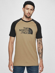 Футболки и поло The North Face Raglan модель NF0A37FVD9V1 Фото