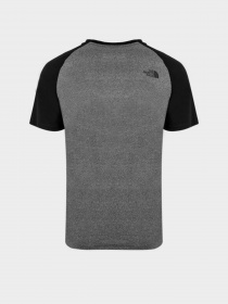 Футболки и поло The North Face Raglan Easy модель NF0A37FVJBV1 Фото