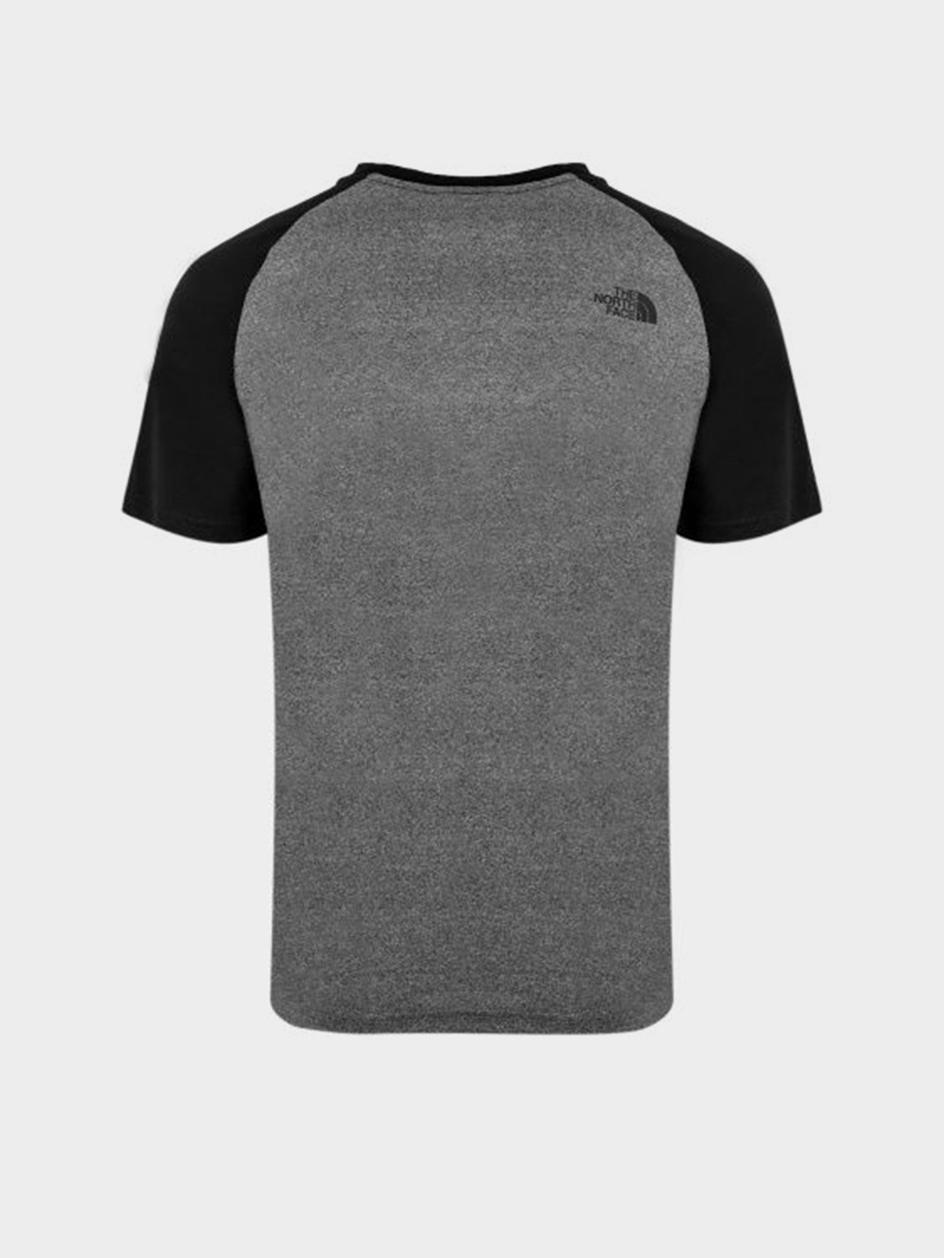 Футболки и поло The North Face Raglan Easy модель NF0A37FVJBV1 Фото