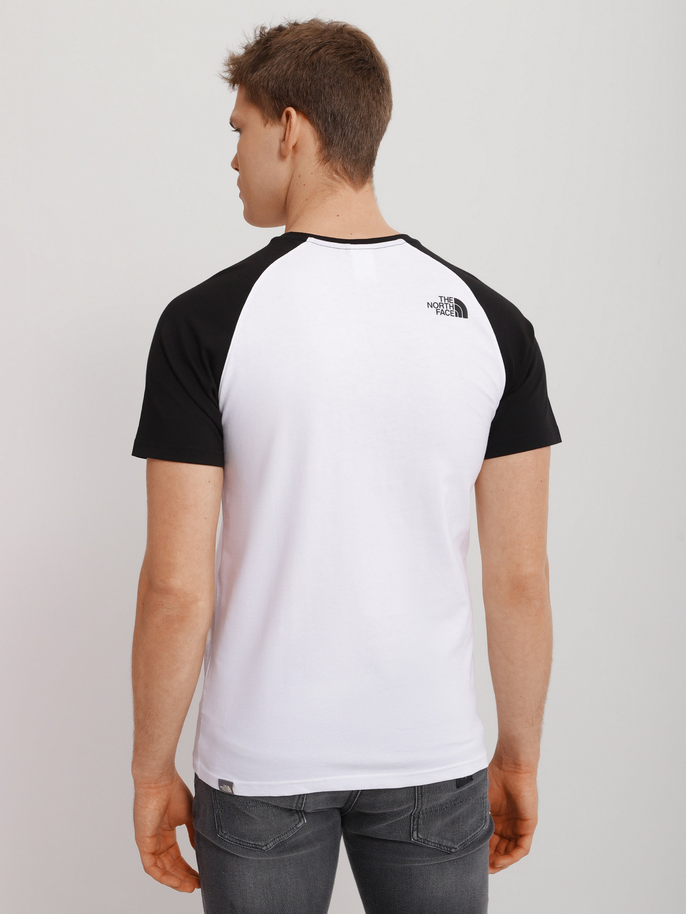 Футболка The North Face Raglan Easy модель NF0A37FVLA91 Фото