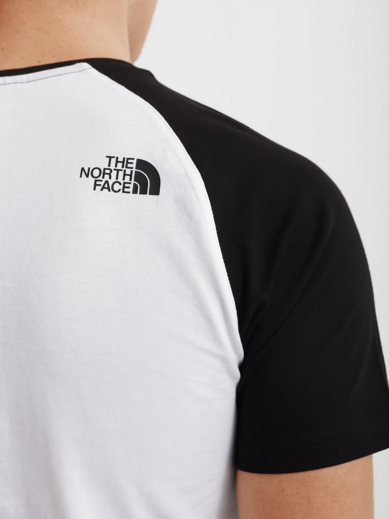 Футболка The North Face Raglan Easy модель NF0A37FVLA91 Фото