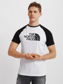 Футболка The North Face Raglan Easy модель NF0A37FVLA91 Фото