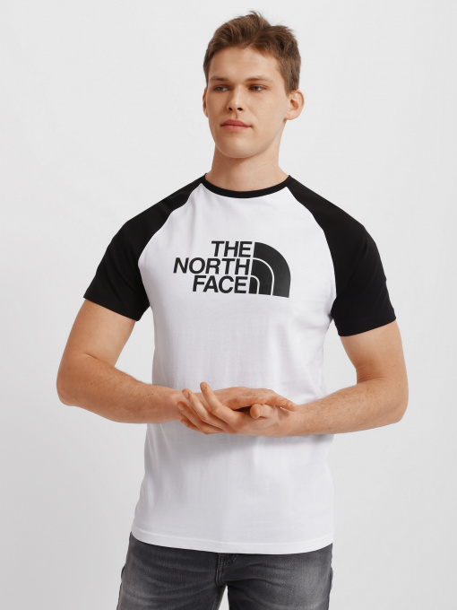 Футболка The North Face Raglan Easy модель NF0A37FVLA91 Фото