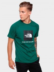 Футболки и поло The North Face Raglan Redbox модель NF0A3BQON3P1 Фото