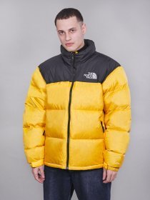 Куртка The North Face модель NF0A3C8D70M1 Фото