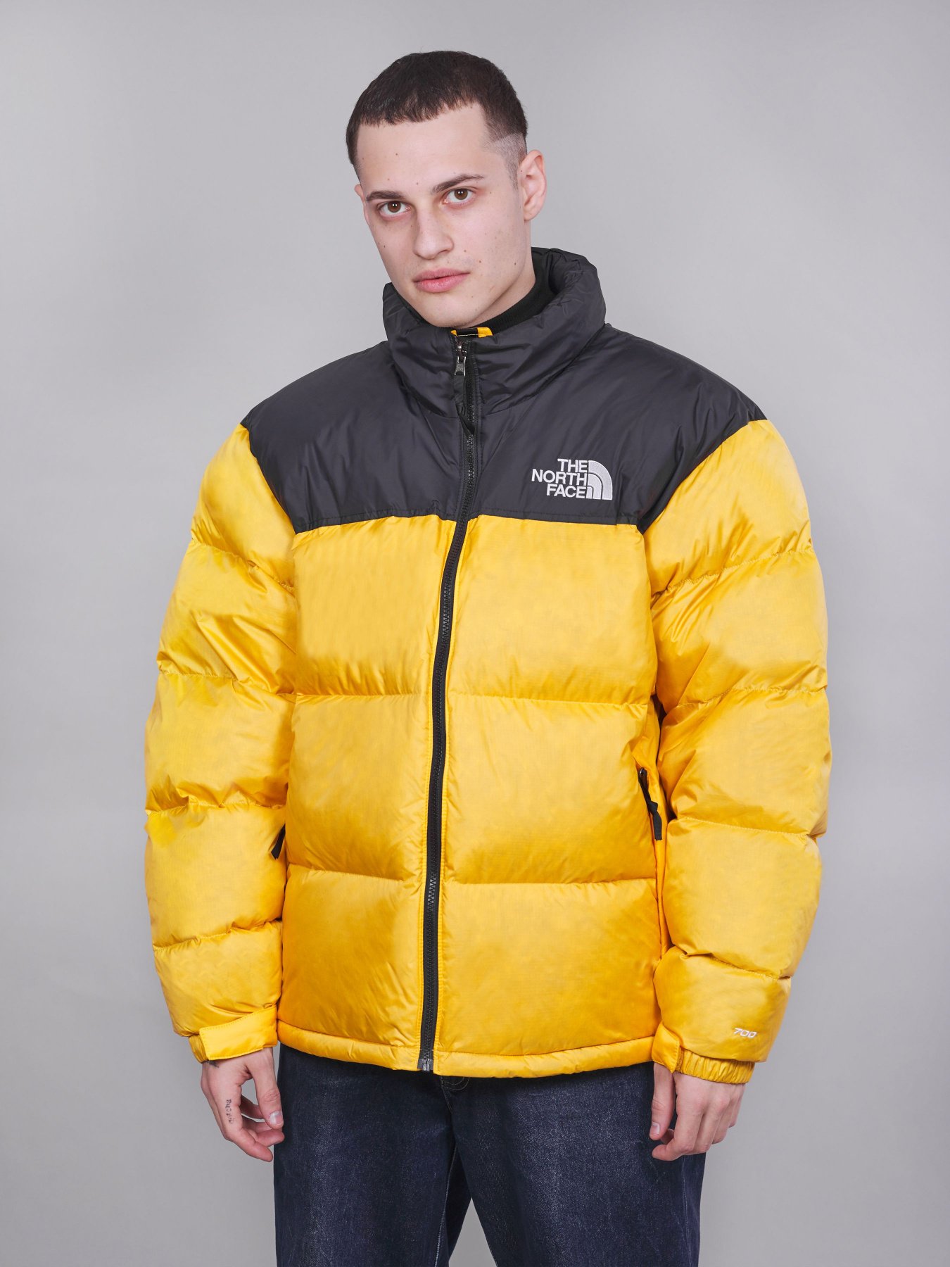 Куртка The North Face модель NF0A3C8D70M1 Фото