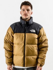 Парка The North Face модель NF0A3C8DD9V1 Фото