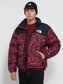 Парка The North Face модель NF0A3C8DF261 Фото