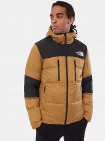 Зимняя куртка The North Face Himalayan модель NF0A3OEDD9V1 Зимняя куртка The North Face Himalayan модель NF0A3OEDD9V1 Фото