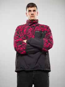 Кофта The North Face 94 RageClassic Fleece модель NF0A3XARF2X1 Фото