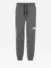 Повседневные штаны The North Face модель NF0A3XYFDYY1 Фото