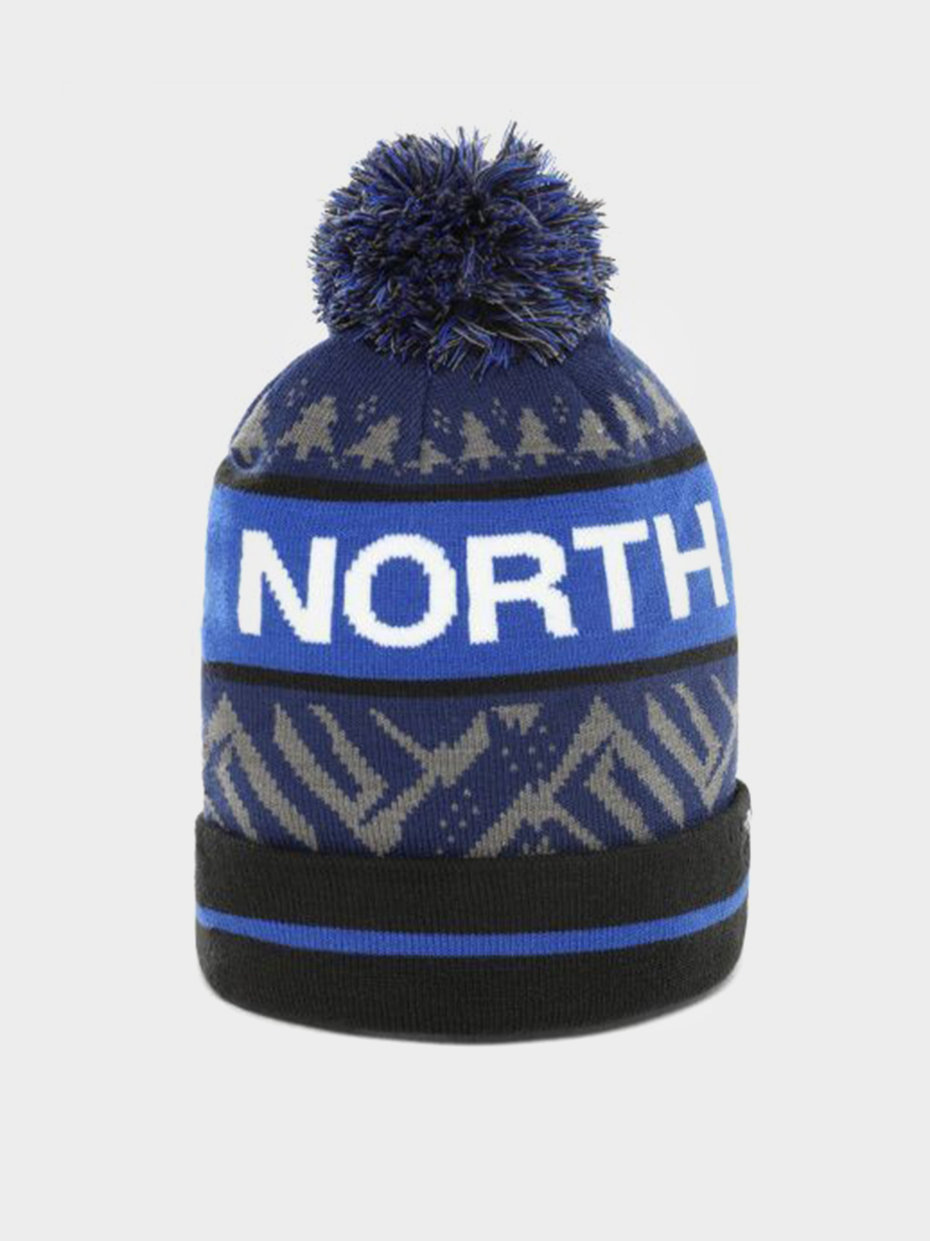 Шапка The North Face Ski Tuke V модель NF00CTH9J011 Фото