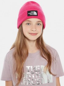 Шапка The North Face модель NF0A3FMVWUG1 Фото