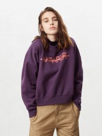 Свитшот Napapijri модель NP000KA5V231 Фото