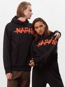 Худи Napapijri модель NP000IV60411 Фото