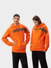 Худи Napapijri модель NP000IV6A541 Фото