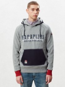 Худи Napapijri RDARA модель NP000IVP1601 Фото