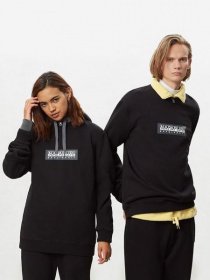 Свитшот Napapijri модель NP000KBU0411 Фото