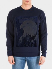 Свитшот Emporio Armani модель 6G1MF7-1J36Z-0932 Фото