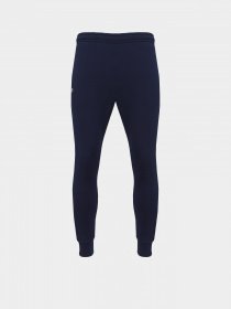 Спортивні штани Lacoste модель XH9507166 Спортивні штани Lacoste модель XH9507166 Фото