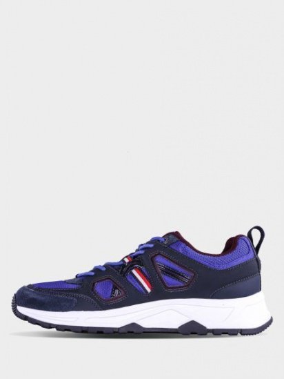 Кросівки Tommy Hilfiger модель FM0FM02391-464 — фото - INTERTOP