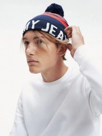 Шапка Tommy Hilfiger модель AM0AM05413-0KD Фото