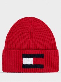 Шапка Tommy Hilfiger модель AM0AM05152-XAF Фото