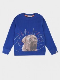 Свитшот Billybandit модель V25484/865 Свитшот Billybandit модель V25484/865 Фото