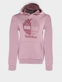 Худі Timberland Kids модель T25Q37/45V Фото