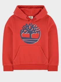 Худи Timberland Kids модель T25Q39/970 Фото