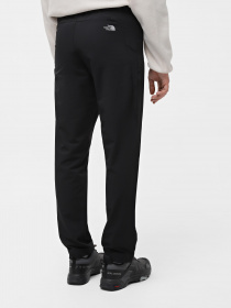 Брюки повседневные The North Face Quest модель NF0A4M77JK31 Фото