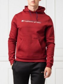 Кофта Tommy Hilfiger Модель S20S200279-607 Фото