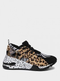 Кроссовки Steve Madden модель SM11000185 ZEBRA MULTI Фото