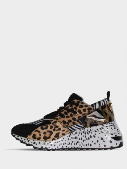 Кросівки Steve Madden модель SM11000185 ZEBRA MULTI — фото - INTERTOP