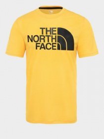 Футболки и поло The North Face Flex II модель NF0A3YIJLR01 Фото