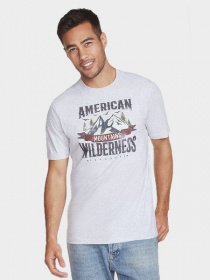 Футболки и поло Skechers модель M4TS167 LTGY Фото