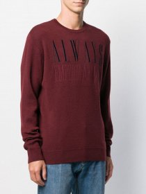 Свитшот Emporio Armani модель 6G1MY7-1MYSZ-0359 Свитшот Emporio Armani модель 6G1MY7-1MYSZ-0359 Фото