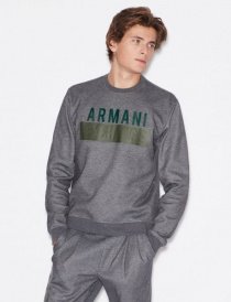Свитшот Armani Exchange модель 6GZM93-ZJ1KZ-3938 Фото