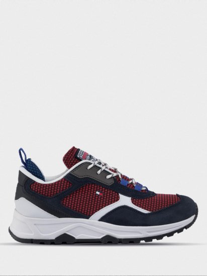 Кросівки fashion Tommy Hilfiger модель FM0FM02582-DW5 - фото