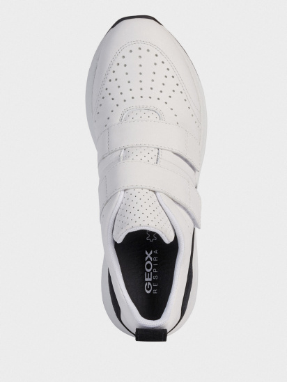 Кросівки Geox BACKSIE модель D02FLB-08522-C0404 — фото 4 - INTERTOP