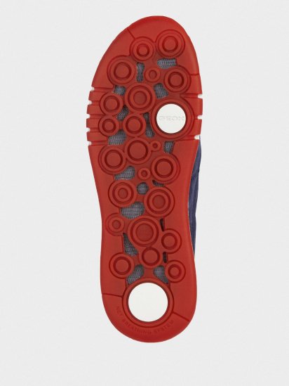 Кросівки Geox D AERANTIS модель D02HNA-00022-C4000 — фото 3 - INTERTOP