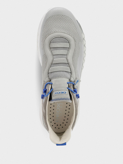 Кроссовки Geox Levita модель U029XA-06K85-C1006 — фото 4 - INTERTOP