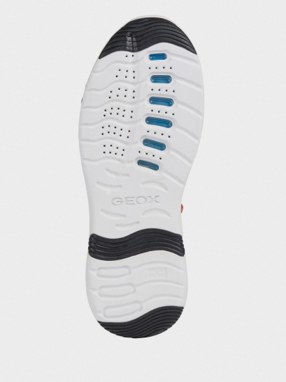 Кросівки Geox Levita модель U029XA-06K85-C9999 — фото 4 - INTERTOP