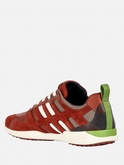 Кроссовки Geox модель U948DA-022FU-C6L4K — фото - INTERTOP