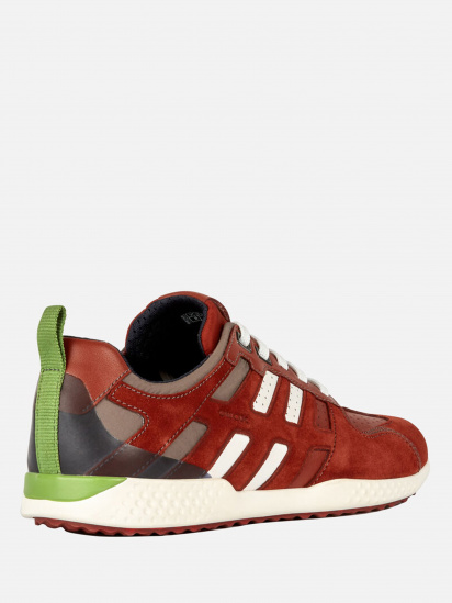 Кроссовки Geox модель U948DA-022FU-C6L4K — фото 3 - INTERTOP
