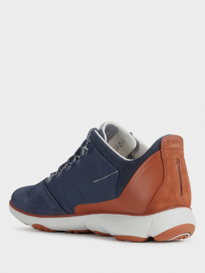 Кросівки Geox модель U94D7C-01122-C4005 — фото - INTERTOP