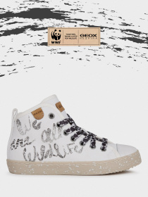 Ботинки Geox модель J02D5F-000ZB-C1000 Фото