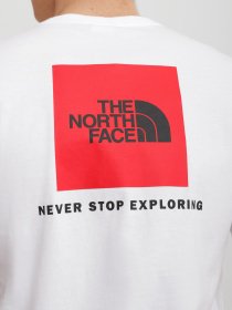 Футболка The North Face REDBOX модель NF0A2TX2FN41 Фото