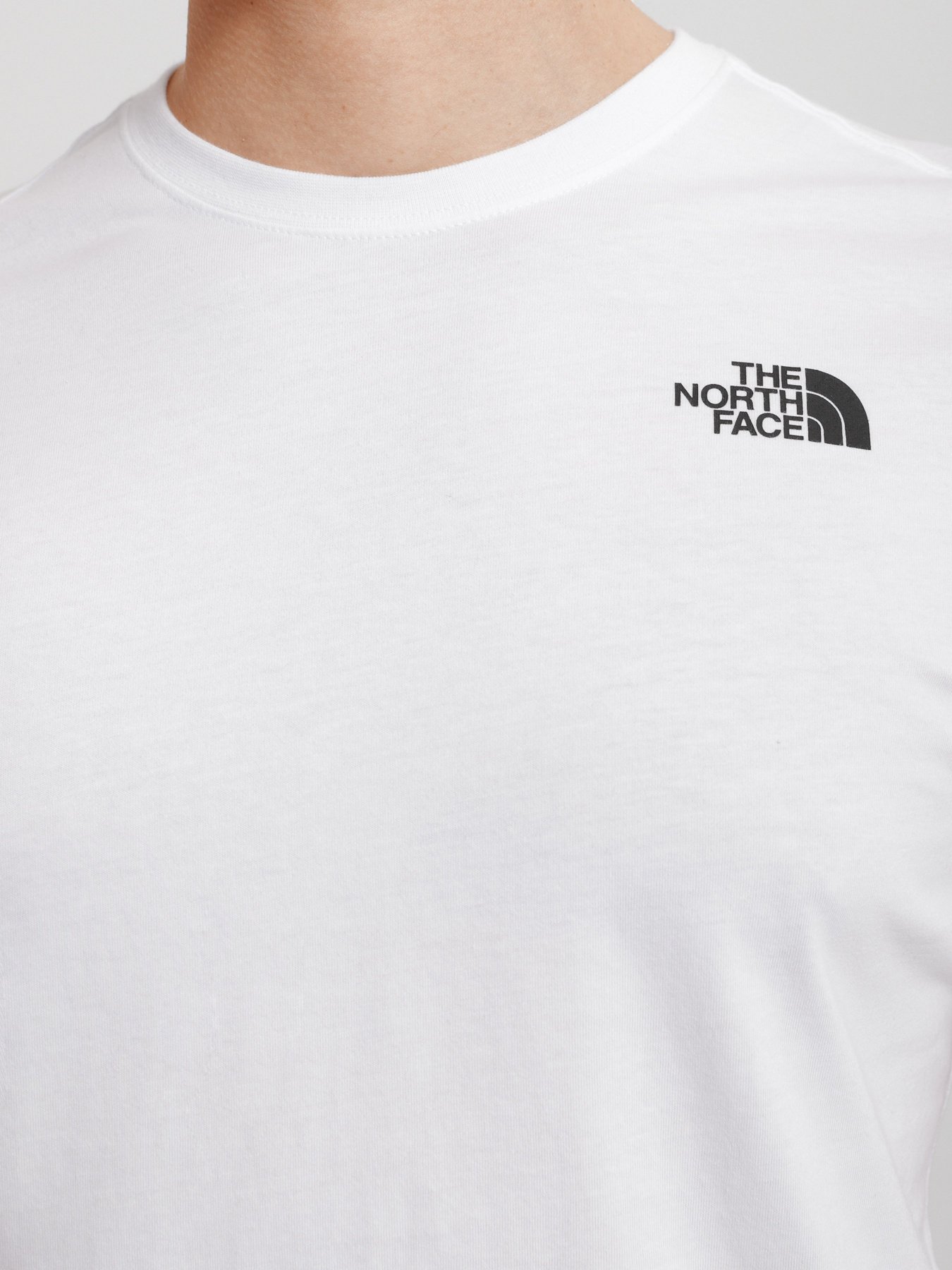 Футболка The North Face REDBOX модель NF0A2TX2FN41 Футболка The North Face REDBOX модель NF0A2TX2FN41 Фото